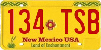 NM license plate 134TSB