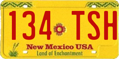 NM license plate 134TSH