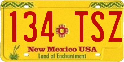 NM license plate 134TSZ