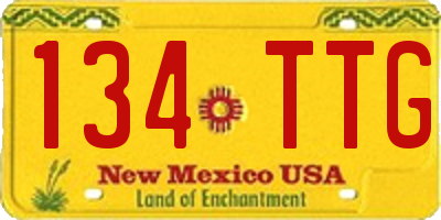 NM license plate 134TTG