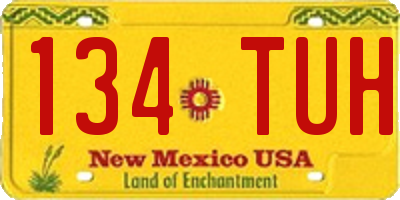NM license plate 134TUH