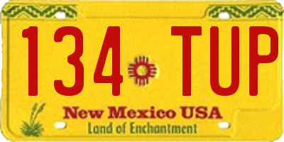 NM license plate 134TUP