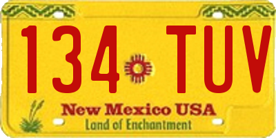 NM license plate 134TUV
