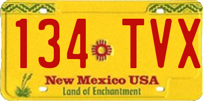 NM license plate 134TVX