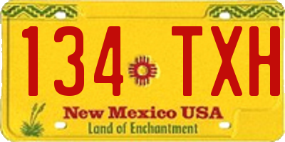 NM license plate 134TXH