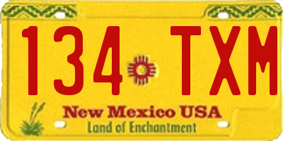 NM license plate 134TXM