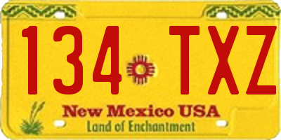 NM license plate 134TXZ