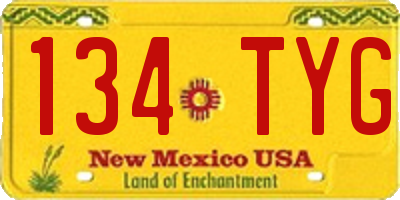 NM license plate 134TYG