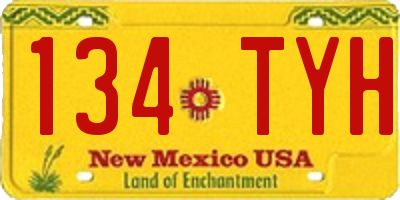 NM license plate 134TYH