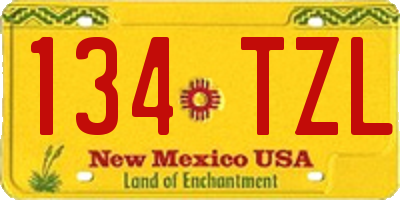 NM license plate 134TZL