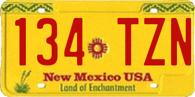 NM license plate 134TZN