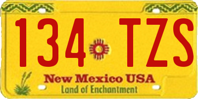 NM license plate 134TZS