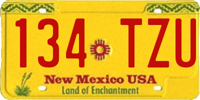 NM license plate 134TZU