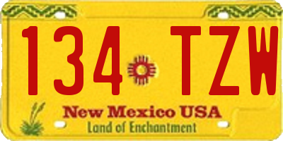 NM license plate 134TZW