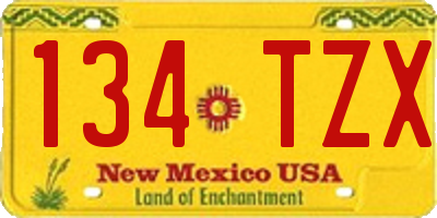 NM license plate 134TZX