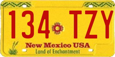 NM license plate 134TZY