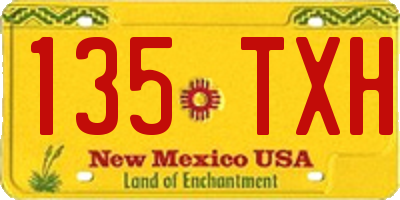 NM license plate 135TXH