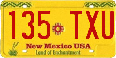 NM license plate 135TXU
