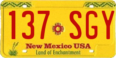 NM license plate 137SGY
