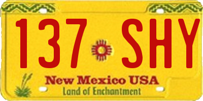 NM license plate 137SHY