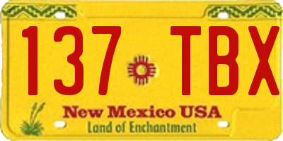 NM license plate 137TBX