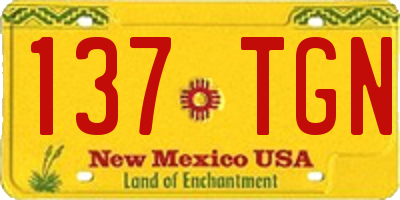 NM license plate 137TGN
