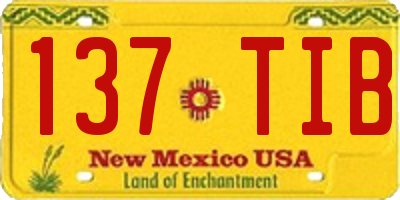 NM license plate 137TIB