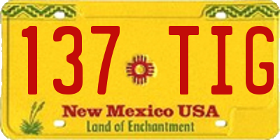 NM license plate 137TIG