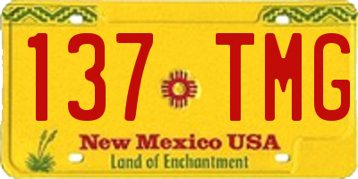 NM license plate 137TMG
