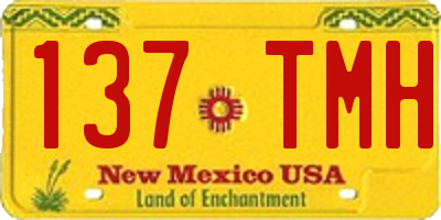 NM license plate 137TMH