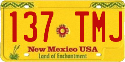 NM license plate 137TMJ