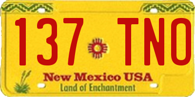 NM license plate 137TNO