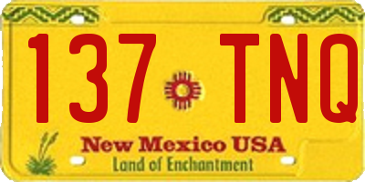 NM license plate 137TNQ