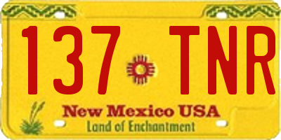 NM license plate 137TNR