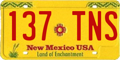 NM license plate 137TNS