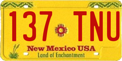 NM license plate 137TNU