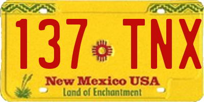 NM license plate 137TNX