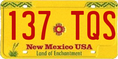 NM license plate 137TQS