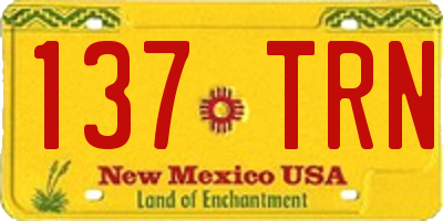 NM license plate 137TRN