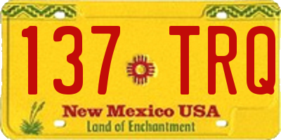NM license plate 137TRQ
