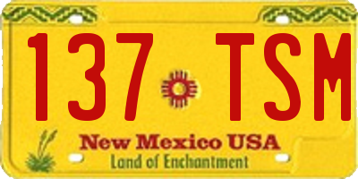 NM license plate 137TSM