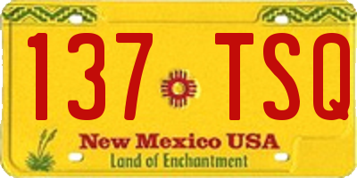NM license plate 137TSQ