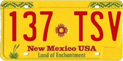 NM license plate 137TSV