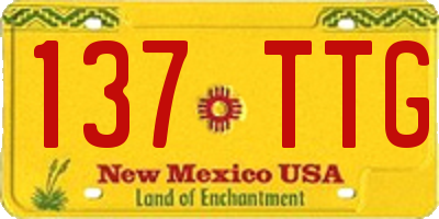 NM license plate 137TTG