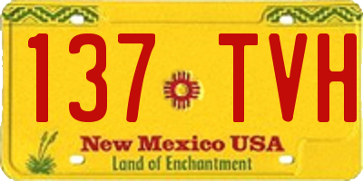 NM license plate 137TVH