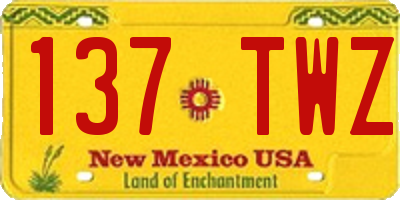 NM license plate 137TWZ