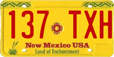 NM license plate 137TXH