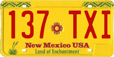 NM license plate 137TXI