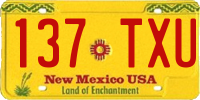 NM license plate 137TXU