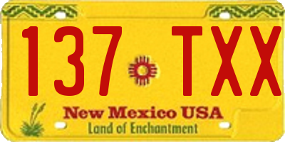 NM license plate 137TXX